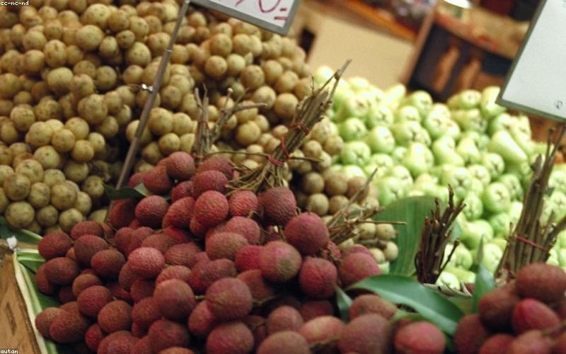 Trái cây nhiệt đới
